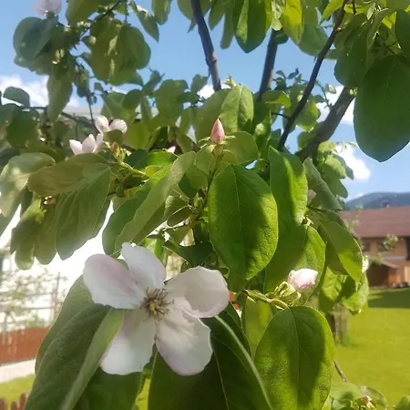 Aparthotel Lungoetz 3*